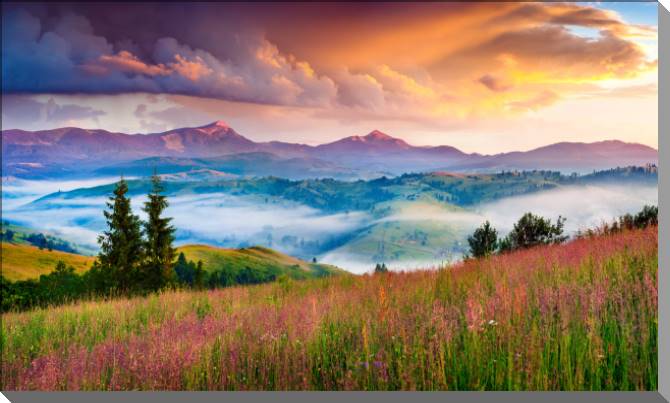 Картины Foggy summer sunrise in the Carpathian mountains