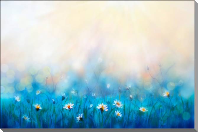 Картины Daisies in a meadow
