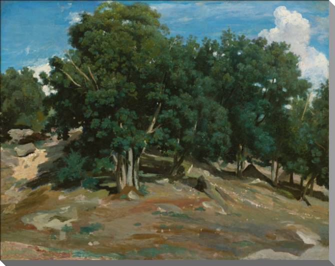 Картины Fontainebleau: Oak trees at Bas-bree (Camille Corot)