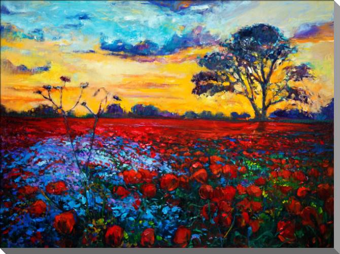 Картины Field of poppies at sunset