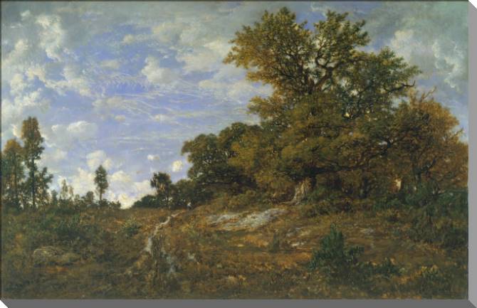 Картины The edge of the forest in Mont-Girard (théodore Rousseau)