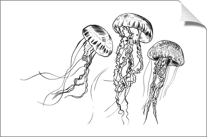 Купить и печать на заказ Картины Графичные медузы