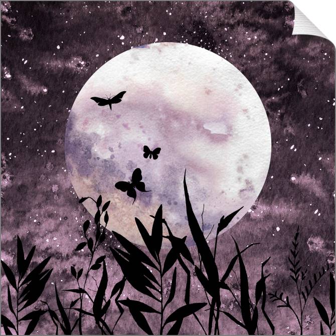 Купить и печать на заказ Картины Бабочки на фоне луны